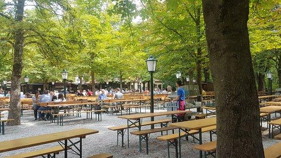 Aumeister im Englischen Garten